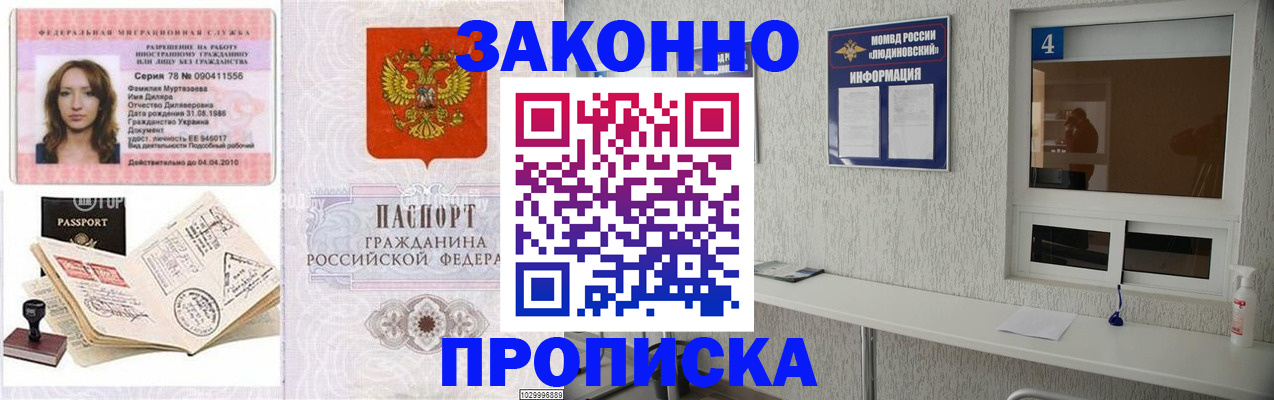 прописка в квартире в Дубовке